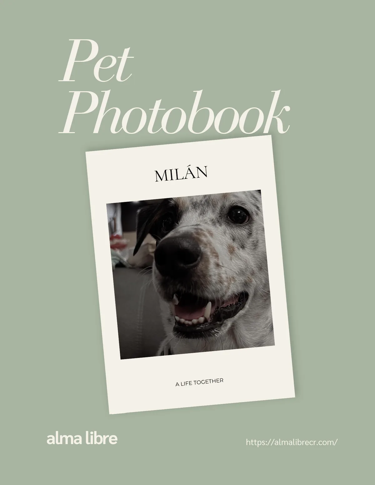 Mascota — Porque ellos también son parte de la familia. Un photobook para guardar sus aventuras, ocurrencias y momentos favoritos.